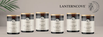 Lantern Cove Botanicals Lemon Myrtle 8oz Soy Candle - Hey Sara